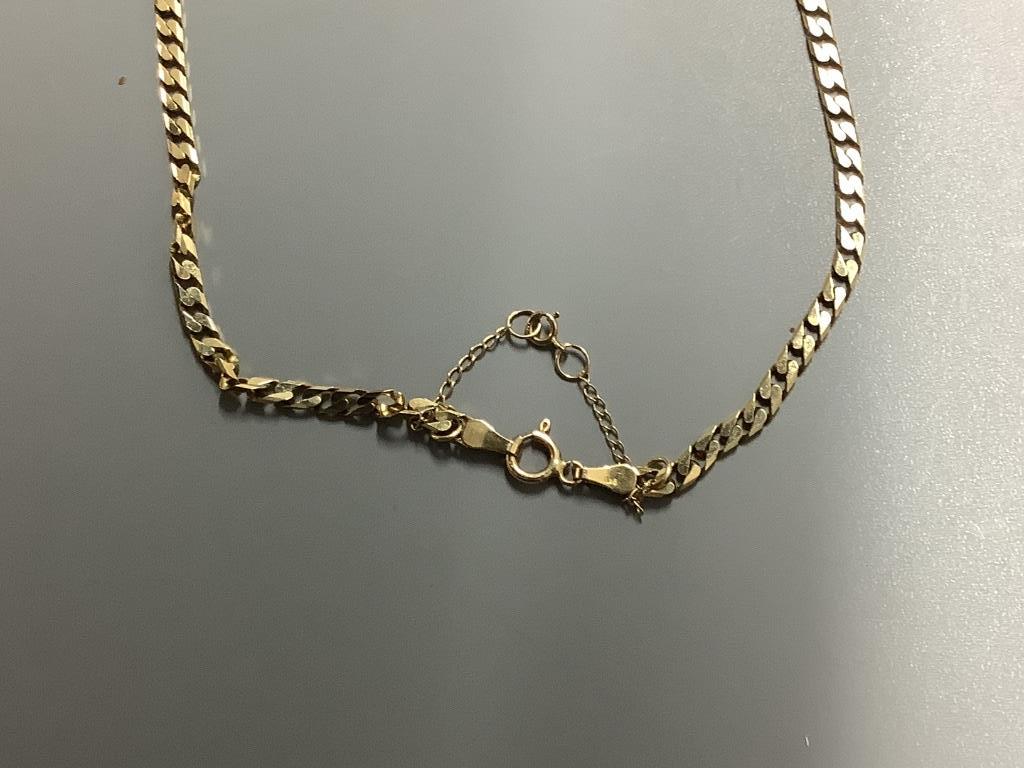 Two 9ct gold chain necklaces, 22.4g (one broken)